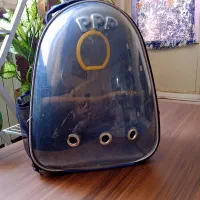 کیف پرنده
