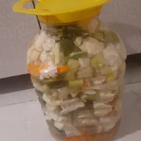 انواع ترشی خانگی|خوردنی و آشامیدنی|محمدیه-قزوین, |دیوار