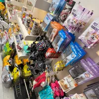 غذا خشک باکس خاک  پت شاپ کوله|لوازم جانبی حیوانات|مشهد, گلبرگ|دیوار