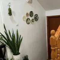 هدیه روز مادر|کلکسیون و سرگرمی|کاشان, امیرکبیر|دیوار