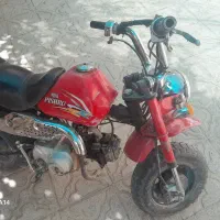 مینی موتور کوچک 50 سی سی تمیز|موتورسیکلت|شیراز, شهرک والفجر|دیوار