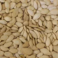 تخم کدو گوشتی