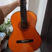 گیتار ویولت