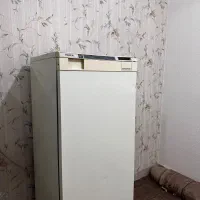 فریزر|یخچال و فریزر|بوشهر, |دیوار