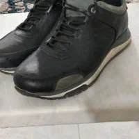 کفش مردانه وزنانه|کیف، کفش، کمربند|الشتر, |دیوار