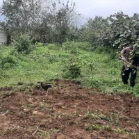 زمین-در-کریم-محله-هشتپر