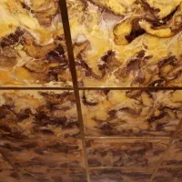 فروش واجرا انواع