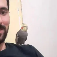 گم شده