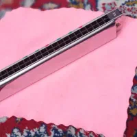 Winer harmonica 20r|سازهای بادی|صحنه, |دیوار