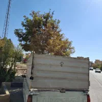 وانت پیکان89 دوگانه فابریک|خودرو سواری و وانت|شاهینشهر, شهرک ردانی پور|دیوار