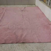 موکت یاسی رنگ زیبا