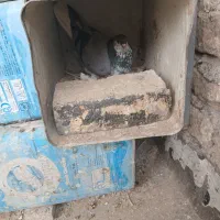 گلین وخرقه