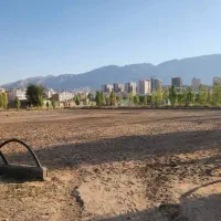 پانسیون و اجاره اسب|اسب و تجهیزات اسب‌سواری|شیراز, شهرک بزین|دیوار