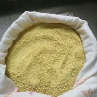 کشک زرد گوسفندی