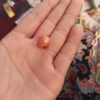 بدلیجات|ساعت|بندرعباس, |دیوار