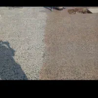 کفسابی کف سابی سنگ سابی سنگسابی تمیزکاری|خدمات نظافت|سمنان, |دیوار