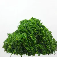 سبزی خردشده|خوردنی و آشامیدنی|میناب, |دیوار