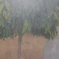کوه نوردی
