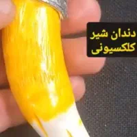 قدیمی و خاص|کلکسیون اشیاء عتیقه|بجنورد, |دیوار