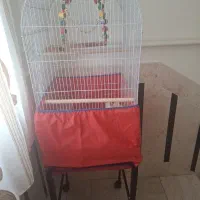قفس پرنده