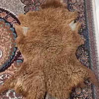 پوست گوسفند دباغی شده