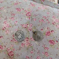 سکه قاجار|کلکسیون سکه، تمبر، اسکناس|شیروان (خراسان), |دیوار