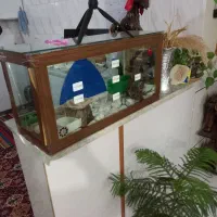 آکواریوم