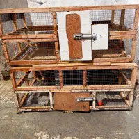 قفس چوبی