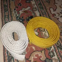 کمربند جودو