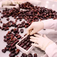 استخدام نیروی حسابدار و نیروی کارپرداز