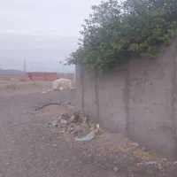 فروش منزل مسکونی آبنما رودان|فروش خانه و ویلا|رودان, |دیوار