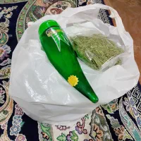پیدا شده