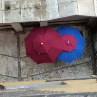 فروش گاری آماده برای کاسبی کردن و یا میوه فروشی|حراج|رشت, دیانتی|دیوار