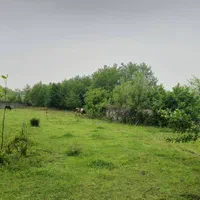 ۶۷۰۰متر زمین مسکونی و شالی فقط متری۲۷۰،۰۰۰