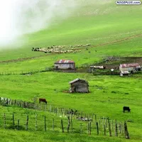 همیاری در شهرداری