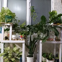 استند گلدان