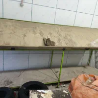 میز میوه فروشی و تره بار|فروشگاه و مغازه|زاوه, |دیوار