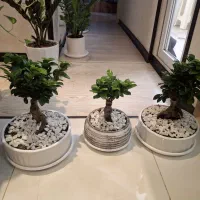 همخونه اقا میخام اقا هستم تماس نباشه فقط،روبیکا