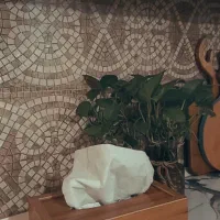 جادستمال کاغذی طرح چوب