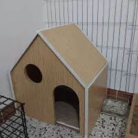 خرگوش لوپ و مینیاتوری و ساده و وسایل|موش و خرگوش|شیراز, کوشک میدان|دیوار