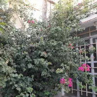 منزل-فروشی-250-متری-خیابان-لاله