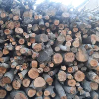 خریدارچوب درختان خیس وخشک صنعتی وزغالی|خدمات باغبانی و درختکاری|تهران, عبدلآباد|دیوار