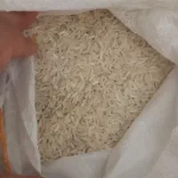برنج فجر