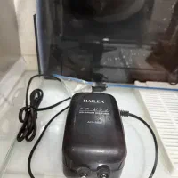 آکواریوم شیشه خم با تمام تجهیزات|ماهی|کردکوی, |دیوار