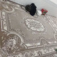 فرش 350شانه نخ وکناره 2در 4 همون فرش