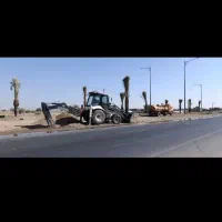 فروش نخل خرما بلندوچندمتری|گل و گیاه طبیعی|چابهار, |دیوار