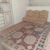 سویت
