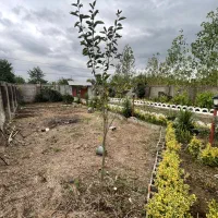 فروش ویلا باغ هزارمتری|فروش خانه و ویلا|رشت, حافظ آباد|دیوار