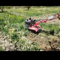 تیلر باغ حرفه ای