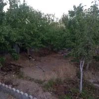 انواع زمین ۵۲۱ متری(درخت کاری ، دور دیوار ،سوله)|فروش زمین و ملک کلنگی|مشهد, درزآب|دیوار